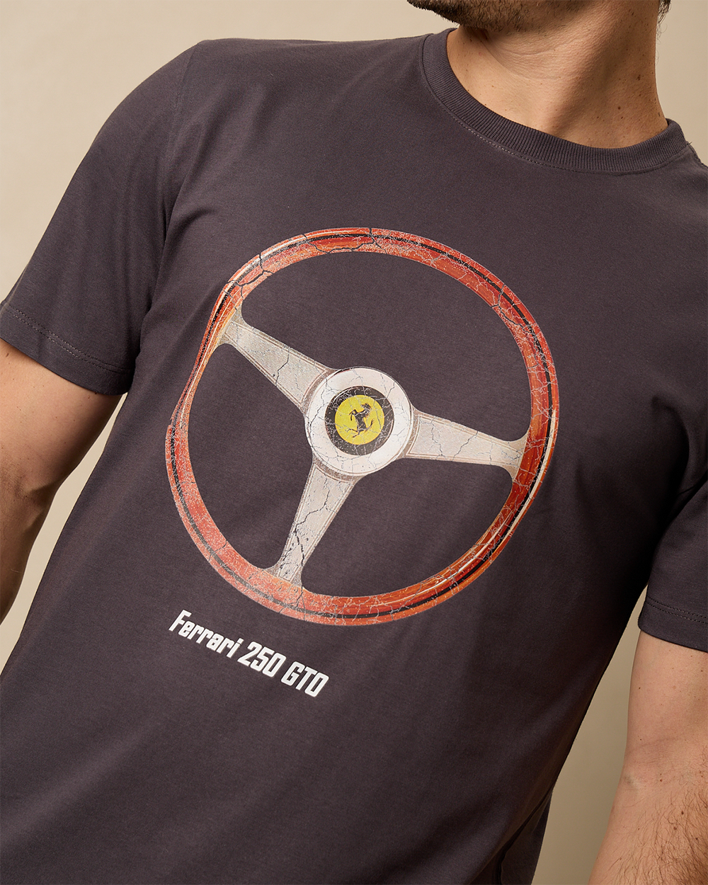 Camiseta 250 GTO